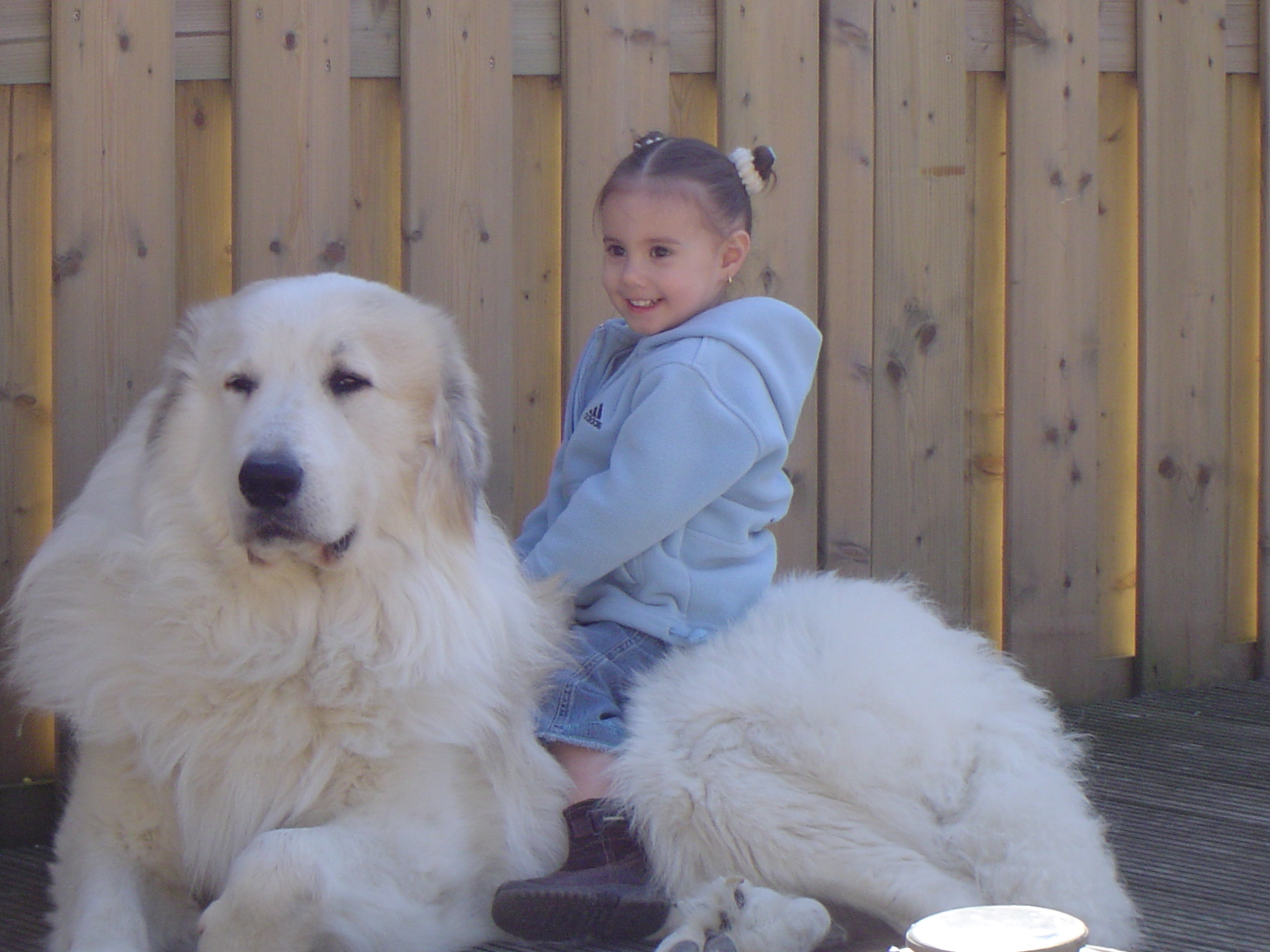 Caldo 65 kilo en Kaydee 3 jaar